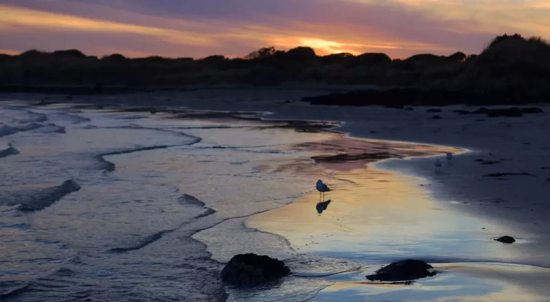 Killarney Beach