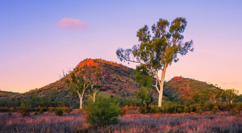 Larapinta Trail