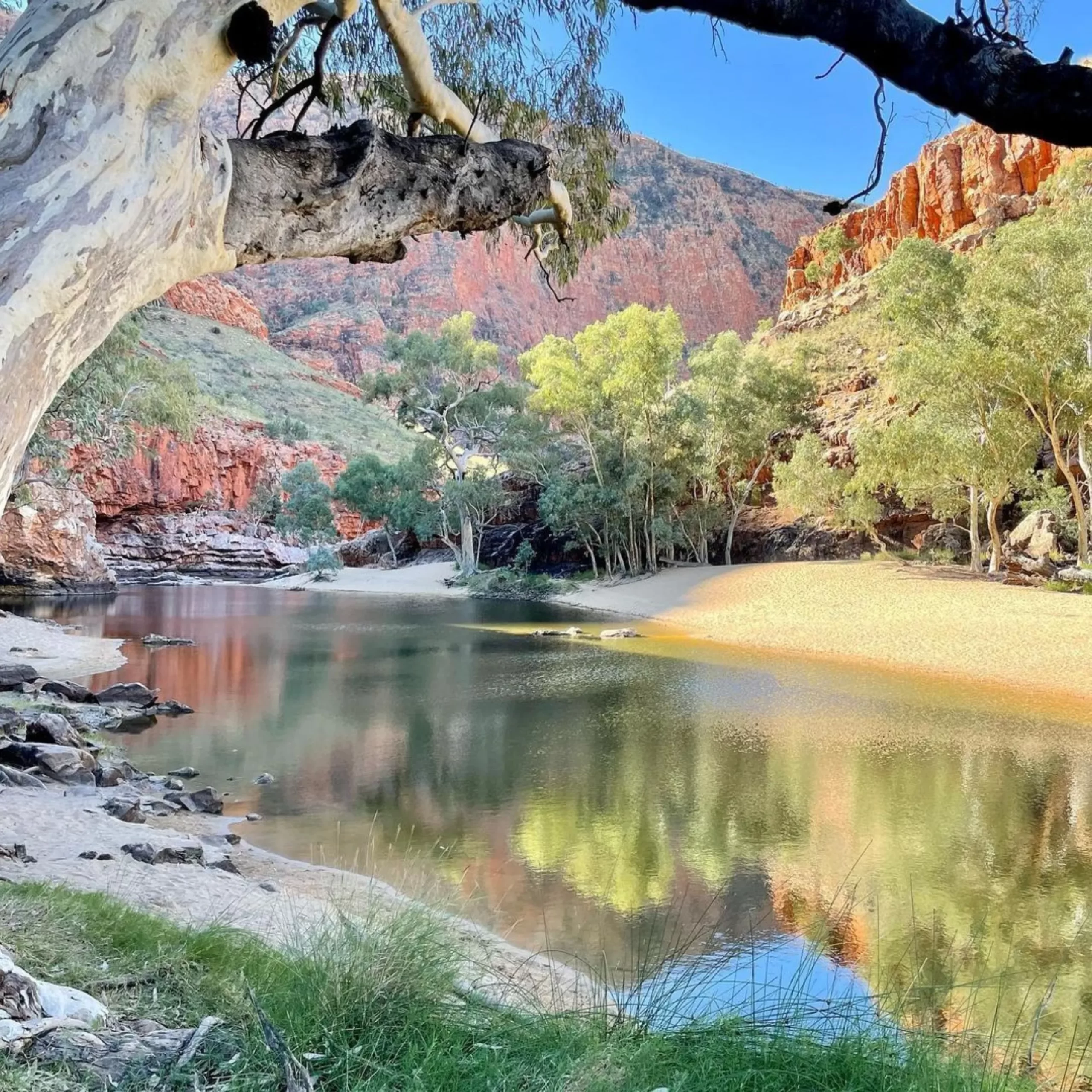 Larapinta Trail tours 