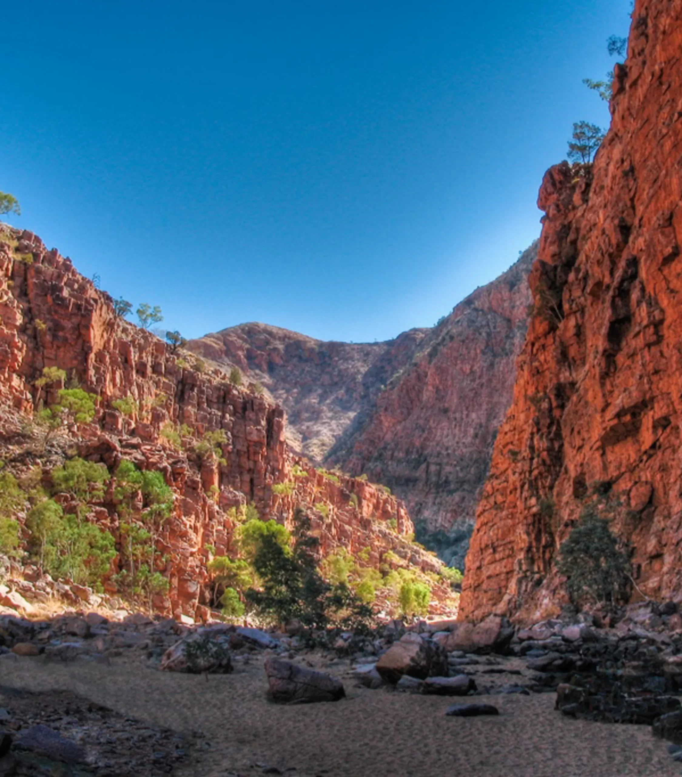 rocky terrain, Larapinta