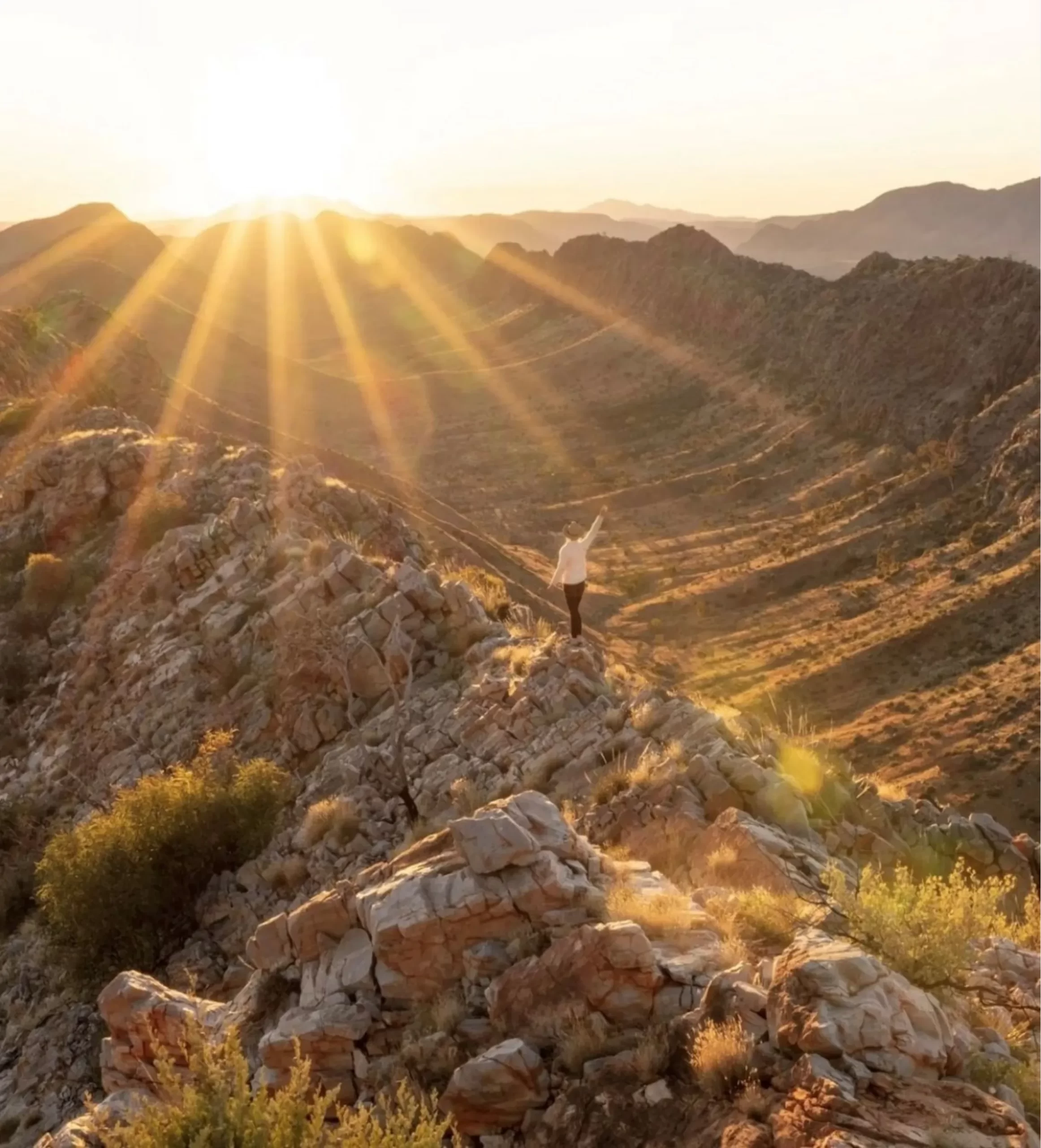 tour Larapinta Trail