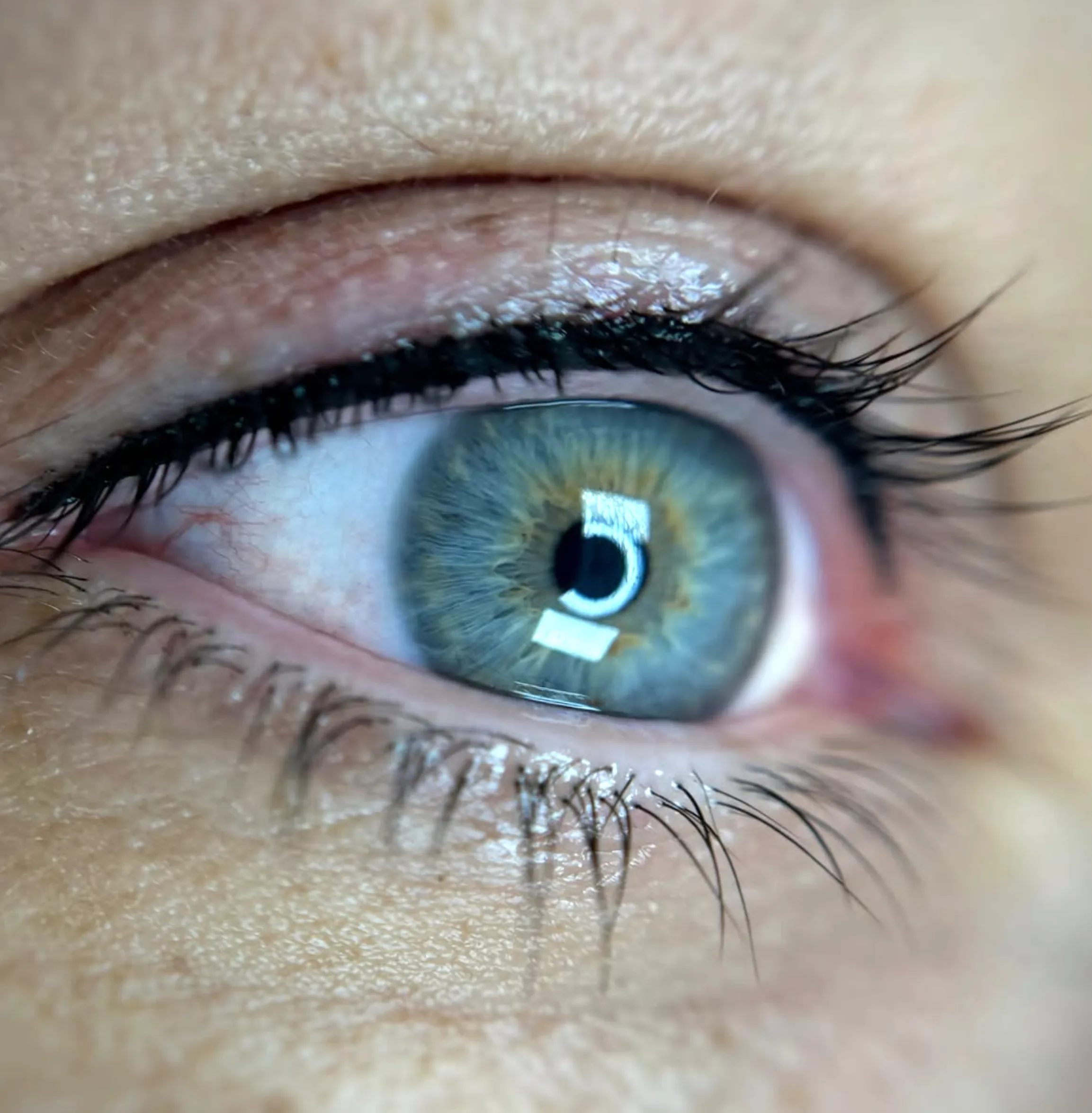 lash shedding after tattoo