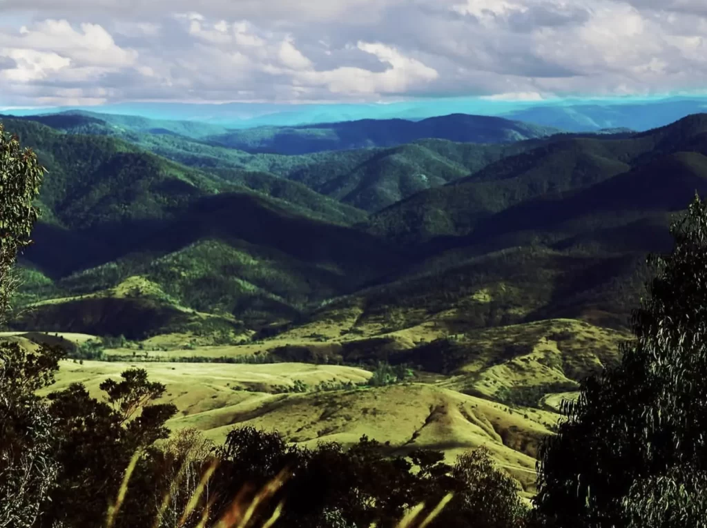 When To Be Mindful of the Country In Peak Season